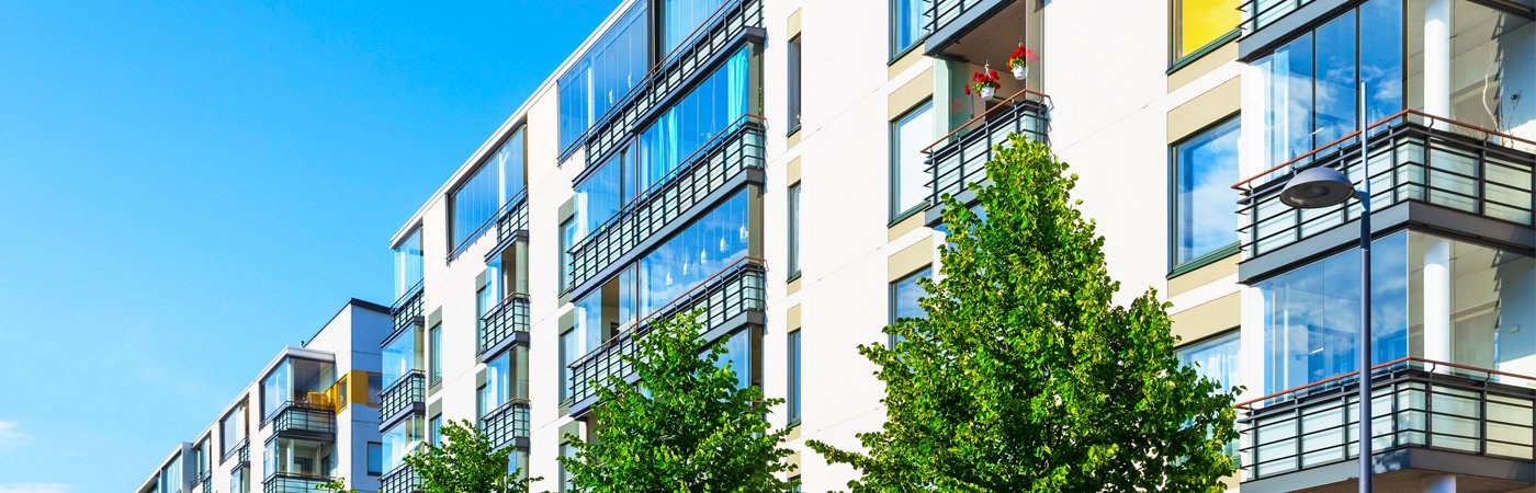 edificioo WALLCOAT PAINT